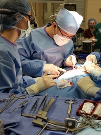 New Surgeon Dr Chiu