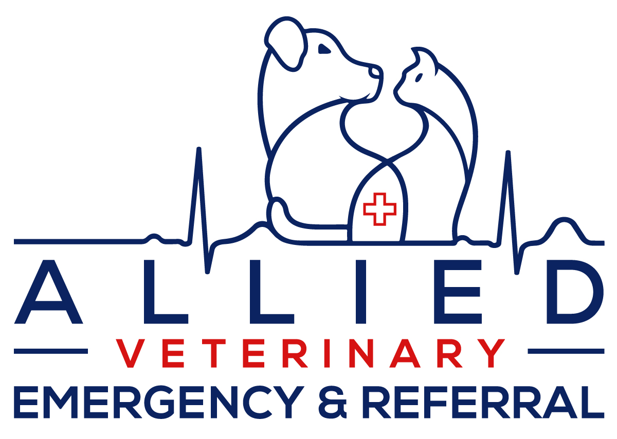 Veterinary Oncology - Allied Veterinary Emergency and Referral