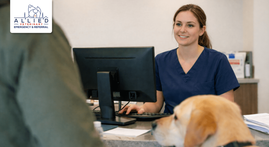 Receptionist assists pet owner with Labrador at best emergency animal hospital in Minneapolis
