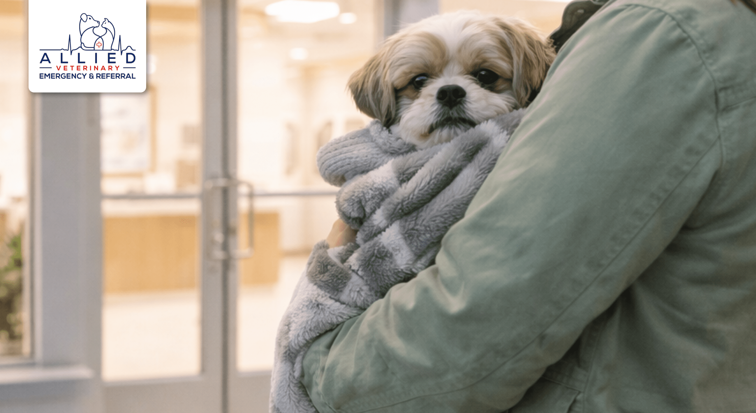 Pet owner carries small dog into 24 hour pet care in Eden Prairie MN at night