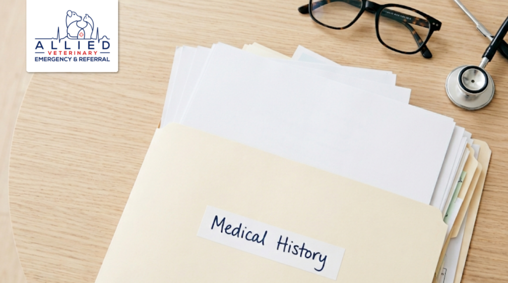 Preparing a pet's medical records for a dog’s cardiologist to review during a specialty visit.