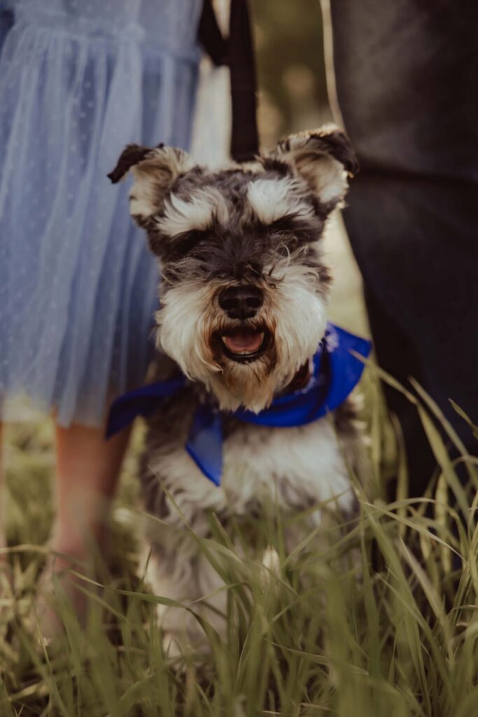 Winston