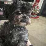 Walter