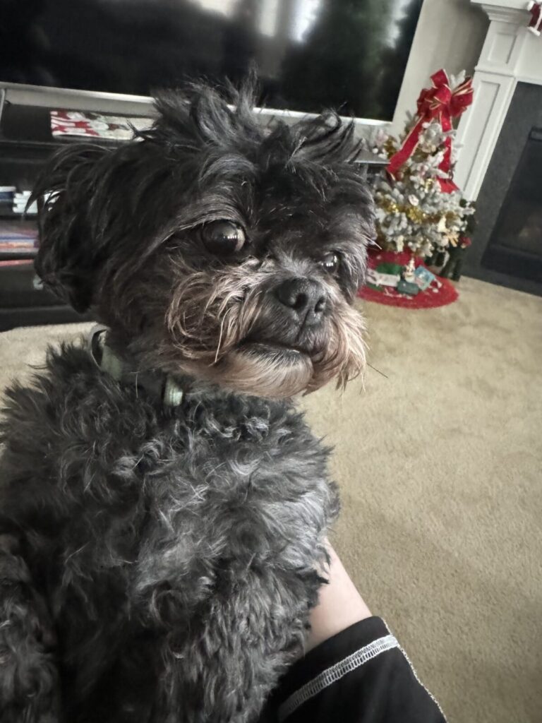 Walter