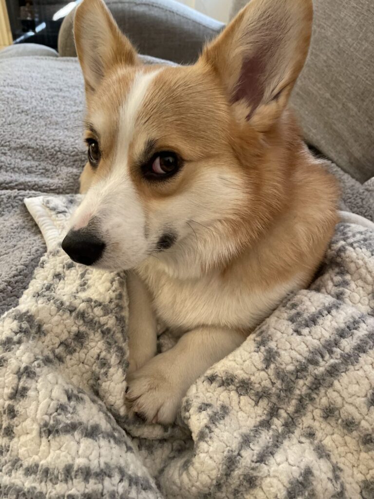 Murphy