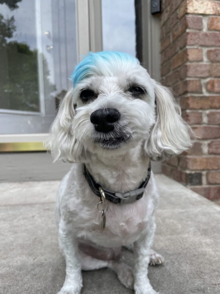 Bob