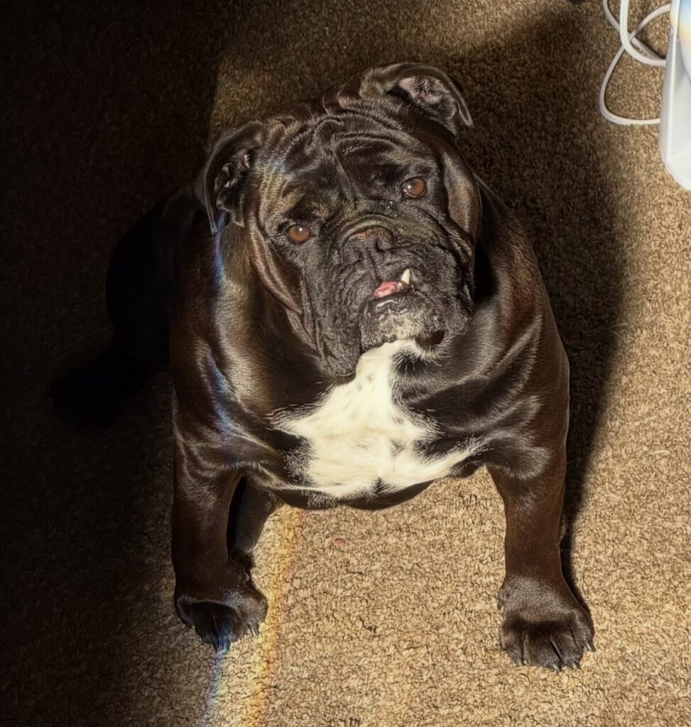 Roman