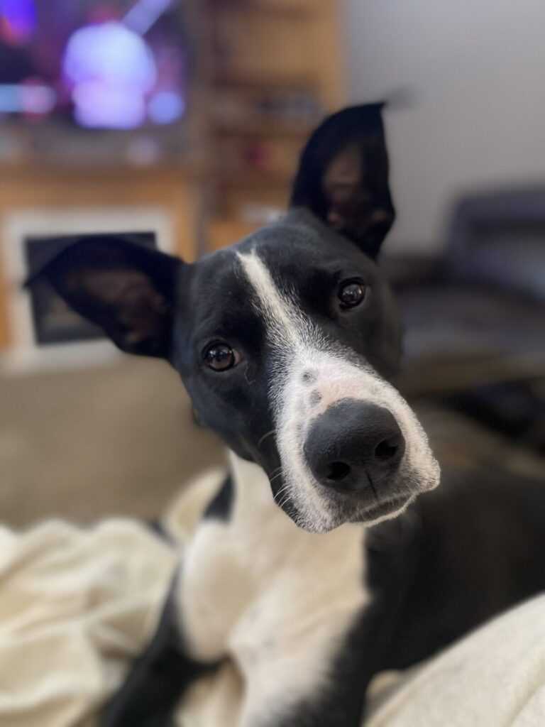 Maggie Mae