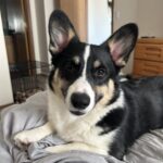 Gary