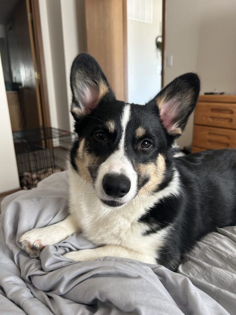 Gary