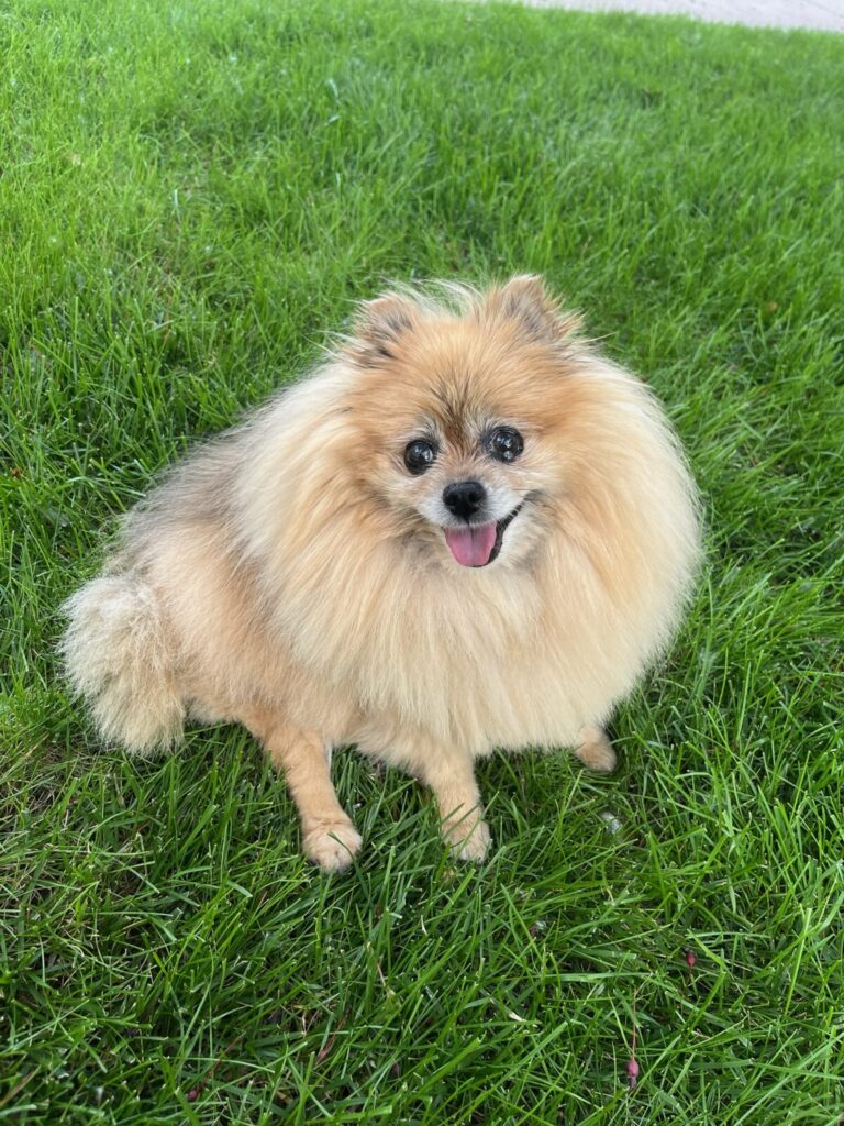 Roxy