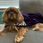 Benji