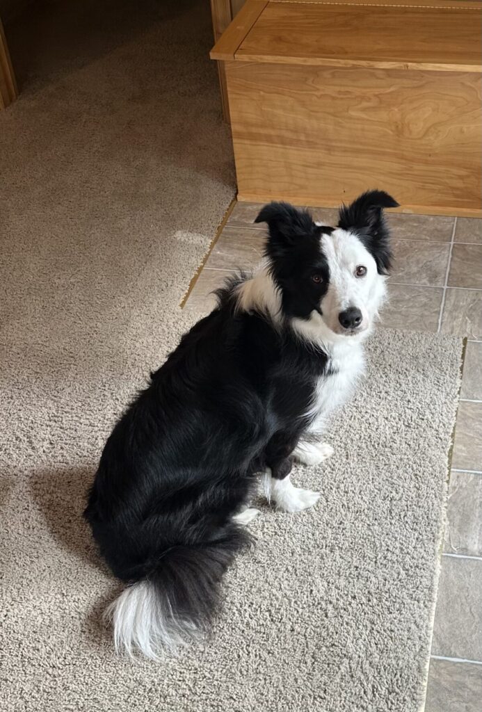 Duke