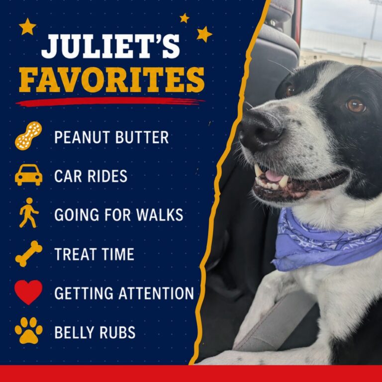 JULIET 3