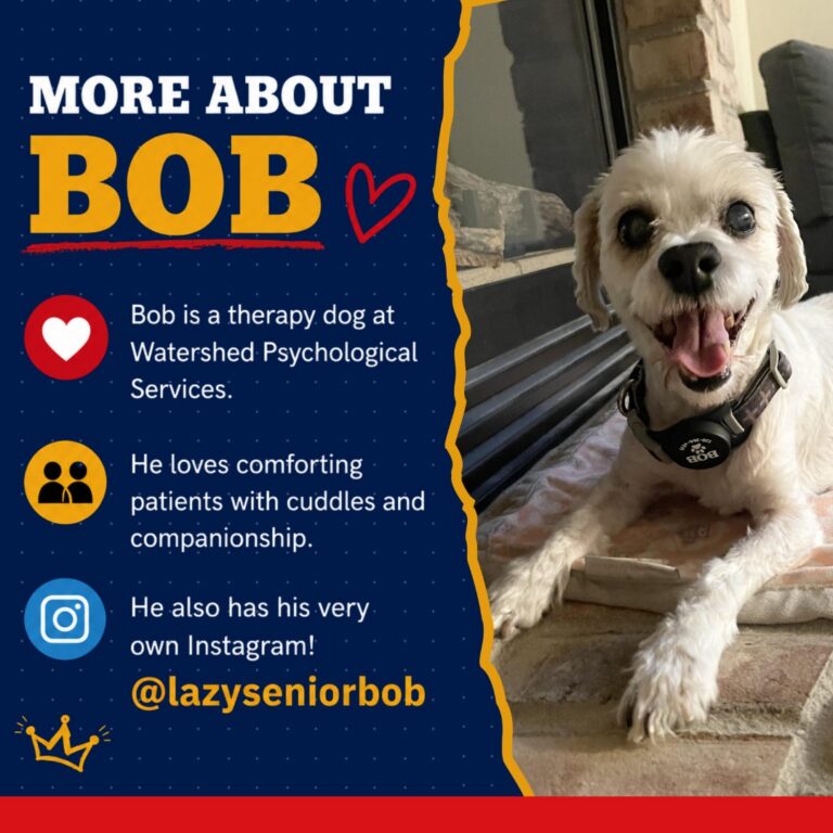 K9 King - Bob 5