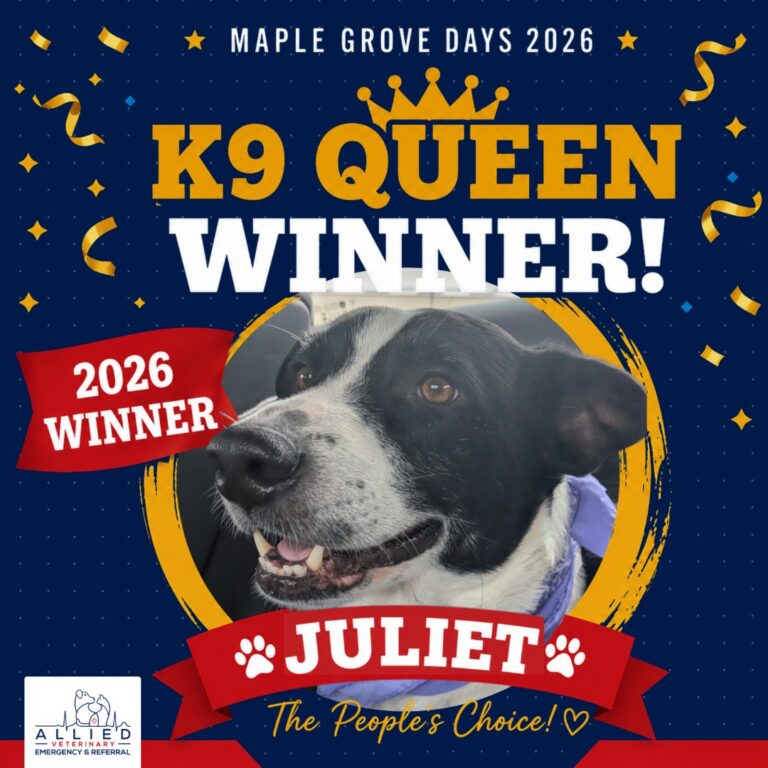K9 Queen - Juliet 1