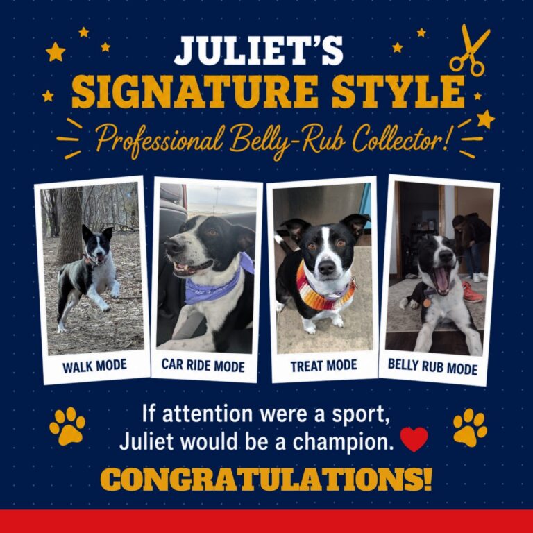 K9 Queen - Juliet 6